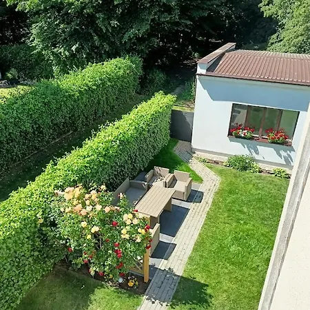 Anyzowy Zakatek W Gdyni *