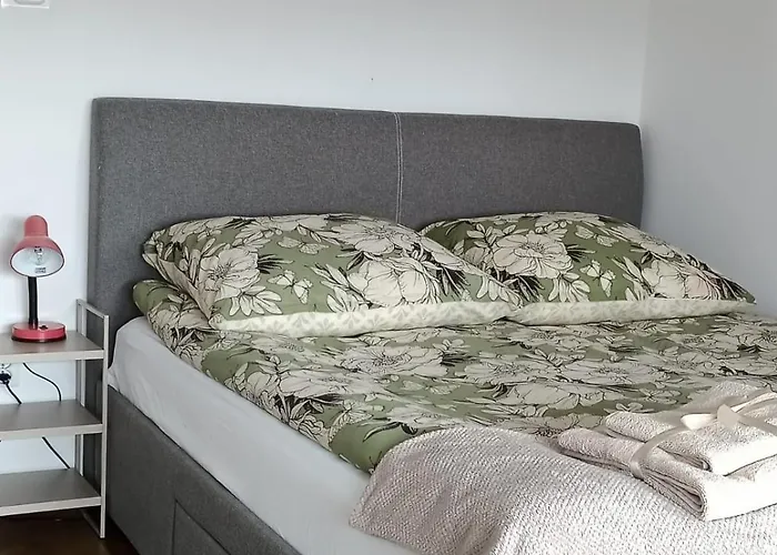 Anyzowy Zakatek W Gdyni * Gdynia