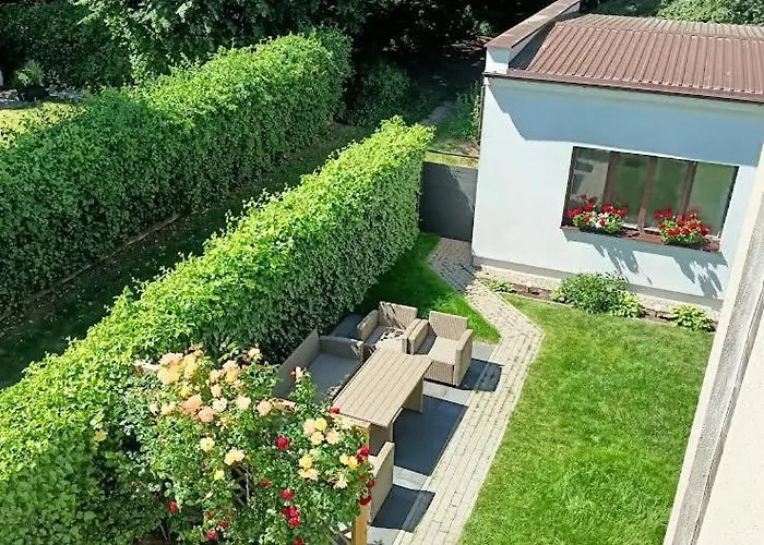 Anyzowy Zakatek W Gdyni *